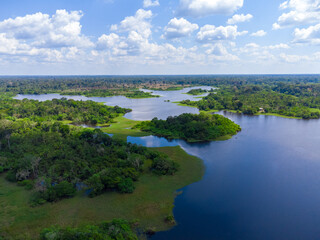 Aerial view of Igapó, the Amazon rainforest in Brazil, an incredible green landscape with lots of...