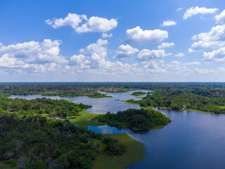 Obraz premium Aerial view of Igapó, the Amazon rainforest in Brazil, an incredible green landscape with lots of water and untouched nature