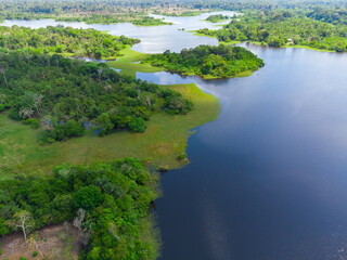 Aerial view of Igapó, the Amazon rainforest in Brazil, an incredible green landscape with lots of water and untouched nature