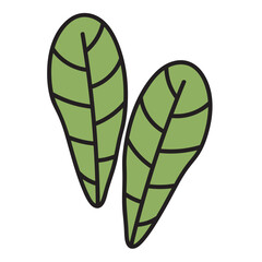 hand drawn flower illustration