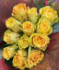 Obraz na płótnie Canvas Bouquet Of Yellow Roses