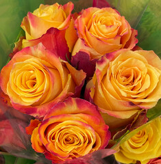 Bouquet Of Yellow and Orange Roses