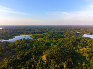 Aerial view of Igapó, the Amazon rainforest in Brazil, an incredible green landscape with lots of water and untouched nature at sunset time