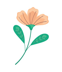 pink flower garden