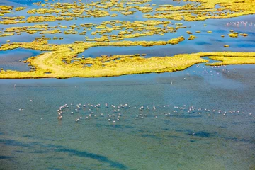 Foto op Plexiglas Flamingos flying in wetland on the Aegean coast, Turkey. © Danita Delimont