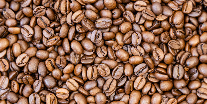 Close up of freshly roasted coffee beans.