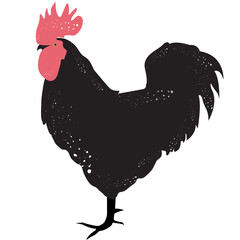 black rooster design