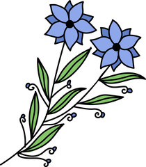 flower illustration