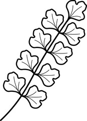 leaf illustration