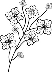 leaf illustration