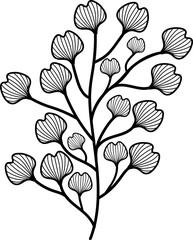 leaf illustration