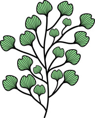 leaf illustration