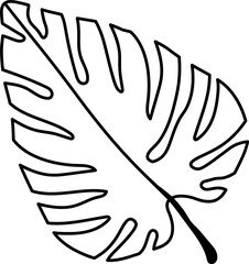leaf illustration
