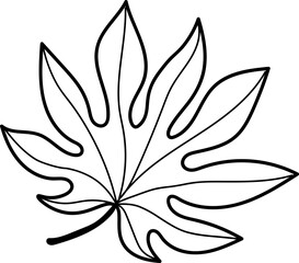 leaf illustration