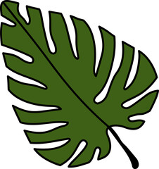 leaf illustration