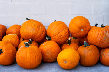 Lots of ripe pumpkins near the white wall. Fall and Harvest Festival