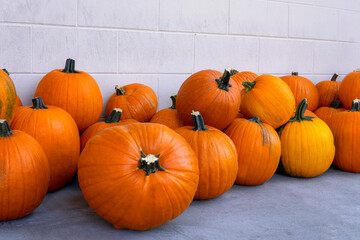 Lots of ripe pumpkins near the white wall. Fall and Harvest Festival