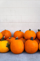 Many ripe pumpkins near the white wall. Fall and Harvest Festival