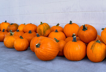 Many ripe pumpkins near the white wall. Fall and Harvest Festival