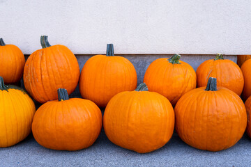 Lots of ripe pumpkins near the white wall. Fall and Harvest Festival