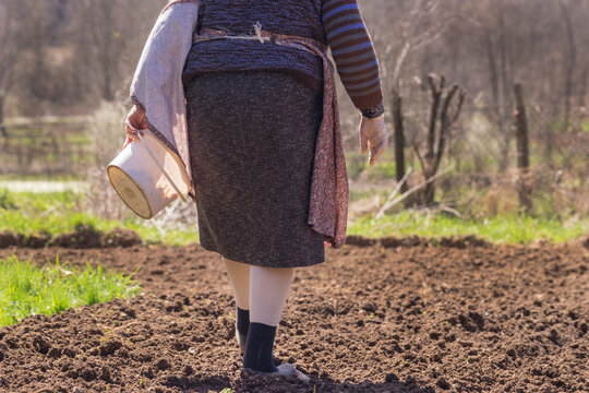 Senior Farmer