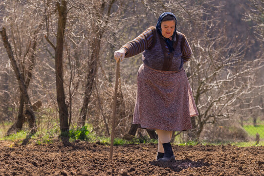 Senior Farmer
