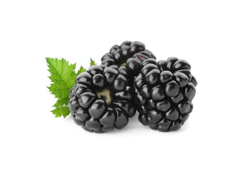 Tasty ripe blackberries and leaf on white background - obrazy, fototapety, plakaty