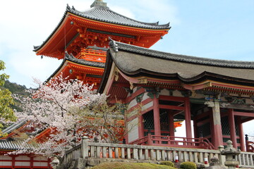 桜のある神社