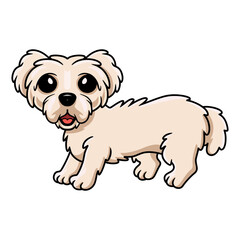 Cute maltese puppy dog cartoon