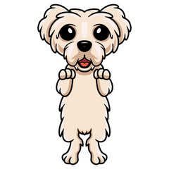 Cute maltese puppy dog cartoon