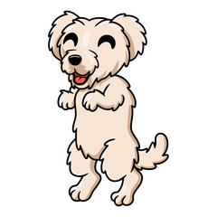 Cute maltese puppy dog cartoon