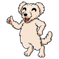 Cute maltese puppy dog cartoon giving thumb up