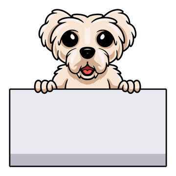 Cute maltese puppy dog cartoon holding blank sign
