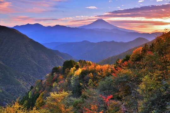 富士山と紅葉の写真