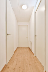 Interior of modern flat in minimal style with narrow empty corridor illuminated by lamps