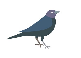 bird on a branch
