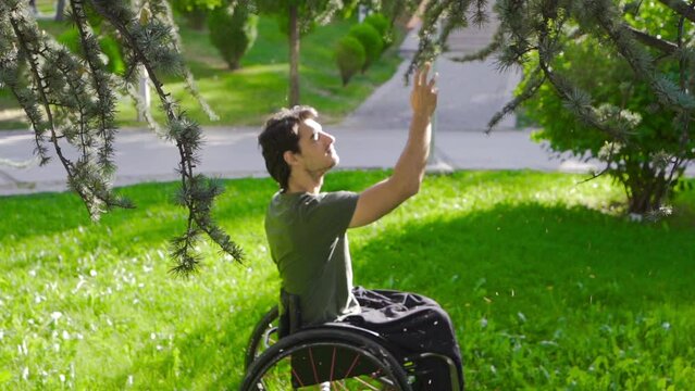 Disabled young man sitting in his wheelchair in nature in slow motion.
Disabled young man sitting in his wheelchair in nature.
