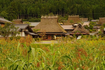茅葺き屋根の家