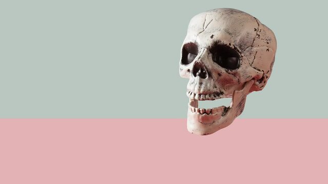 Skull going up and down on dirty pink background, halloween, in loop , animation