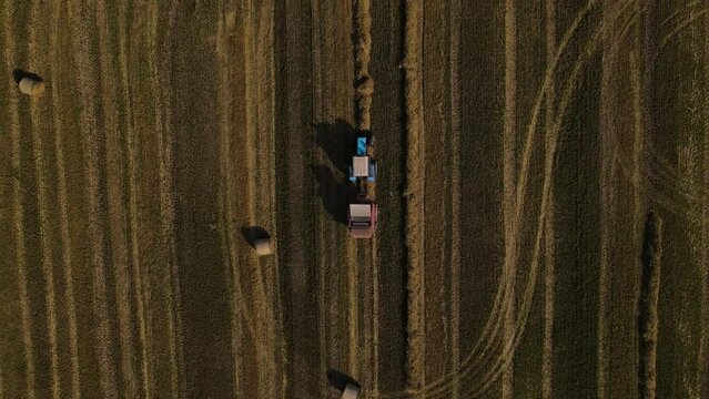 Aerial top down view of the tractor is working on wheat field with haystacks