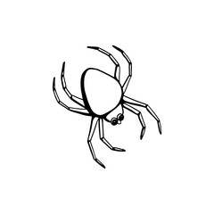 Cute Spider Vector Illustration