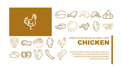 Chicken Carcass, Meat And Organs landing web page header vector. Chicken Broiler Skinless And Boneless Fillet Quarter Back, Wings Drumstick, Liver Heart. Little Chick Farmland Bird Color Illustrations