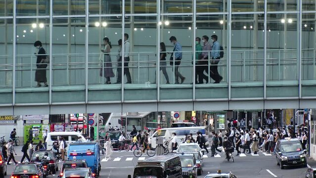 SHIBUYA, TOKYO, JAPAN : Aerial high angle view of crowd of people walking at the pedestrian deck in rush hour. Street and road traffic under the deck. Japanese city life and transportation concept.