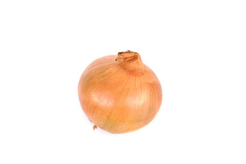 Onion, which has the scientific name Allium Cepa Linnaeus.