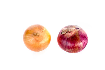 large indian red onion with onions isolated on a white background