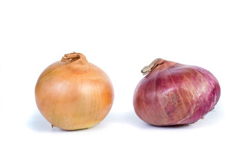 large indian red onion with onions isolated on a white background
