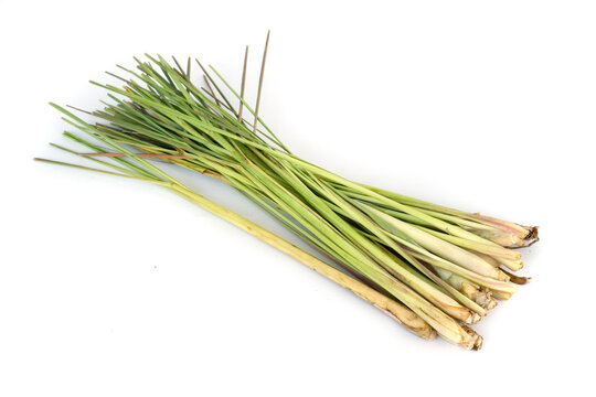 fresh lemongrass leaf isolated on white background.