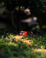 Osaka, Japan - There were 2 