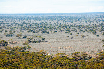 Madura Pass Lookout - Western Australia
