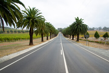 Fototapeta premium Barossa Valley - South Australia
